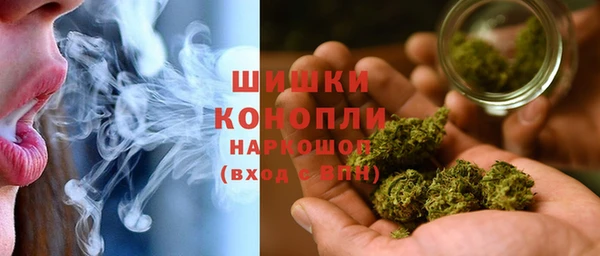 хмурый Арсеньев