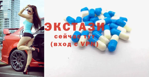 хмурый Арсеньев