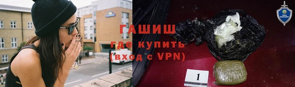 хмурый Арсеньев