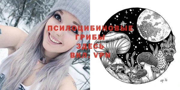 хмурый Арсеньев
