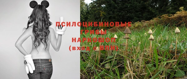 гидропоника Армянск