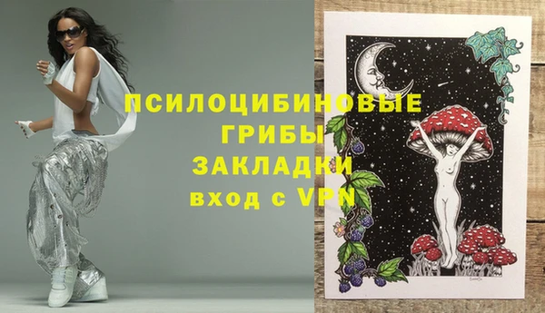 хмурый Арсеньев