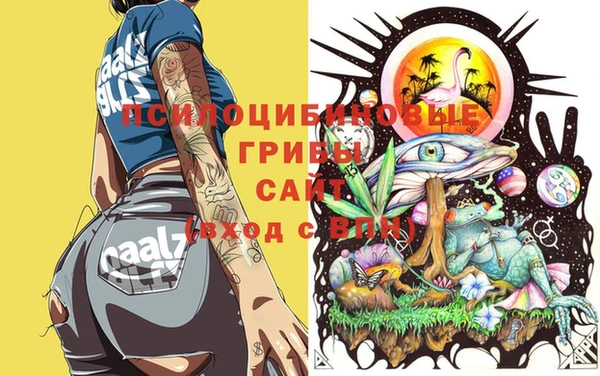 хмурый Арсеньев