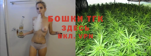 хмурый Арсеньев