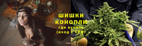 хмурый Арсеньев