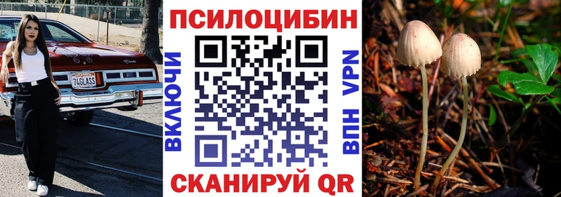 Псилоцибиновые грибы мицелий  Темрюк 
